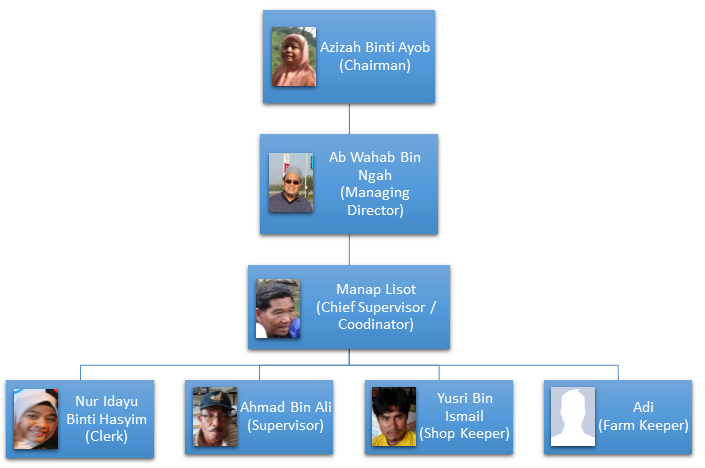 Organizational Chart